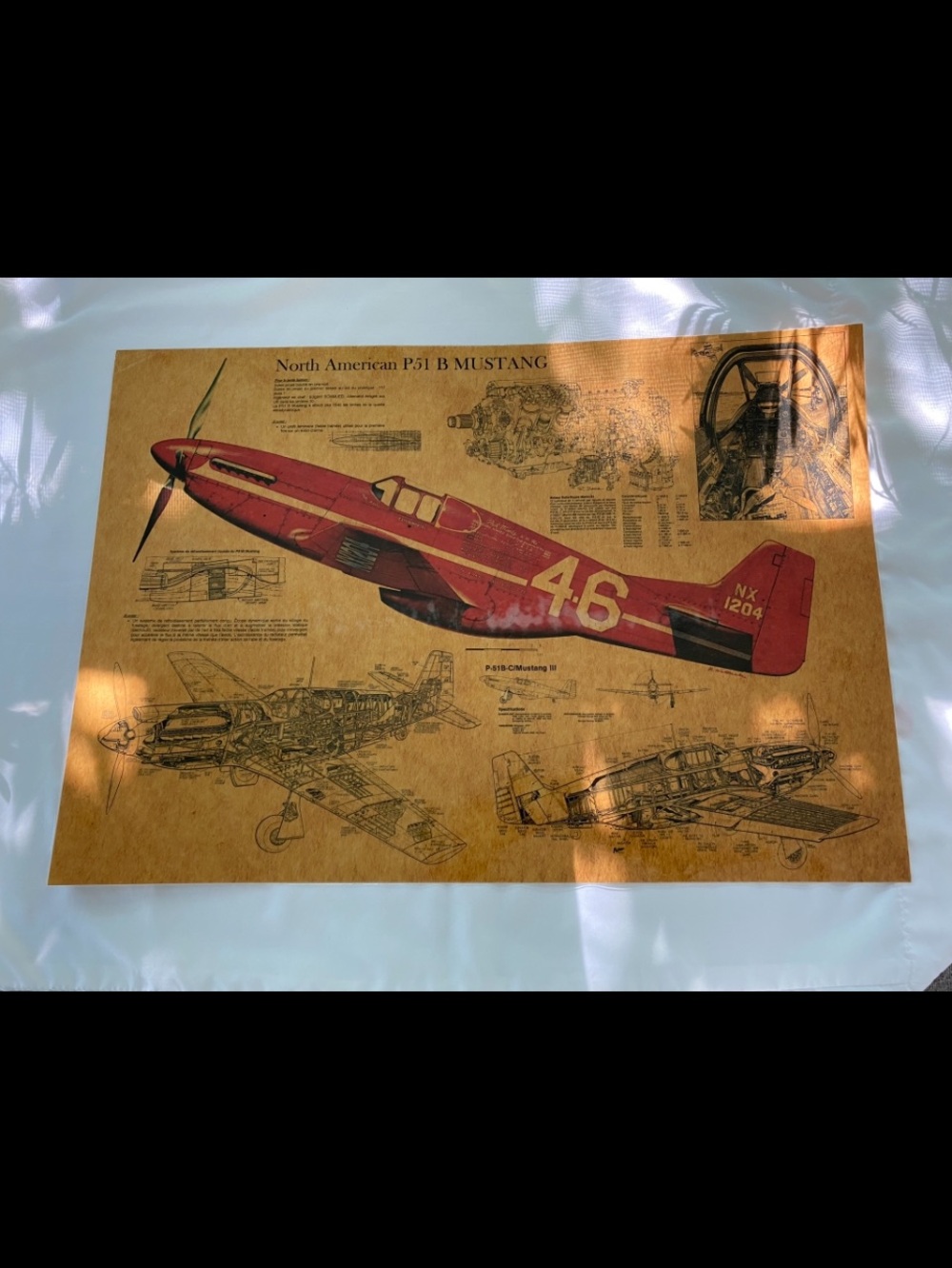 Laminated Poster of North American P51 B Mustang